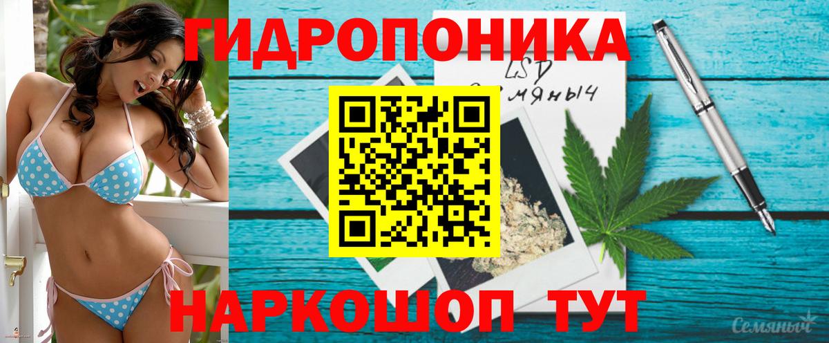 ГАШ Мурманск